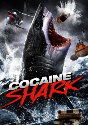 il-film-cocaine_shark_